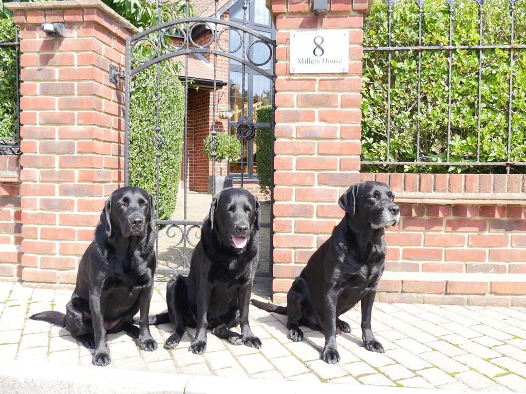 Millers House Boutique B&B เอมส์เวิร์ธ ภายนอก รูปภาพ