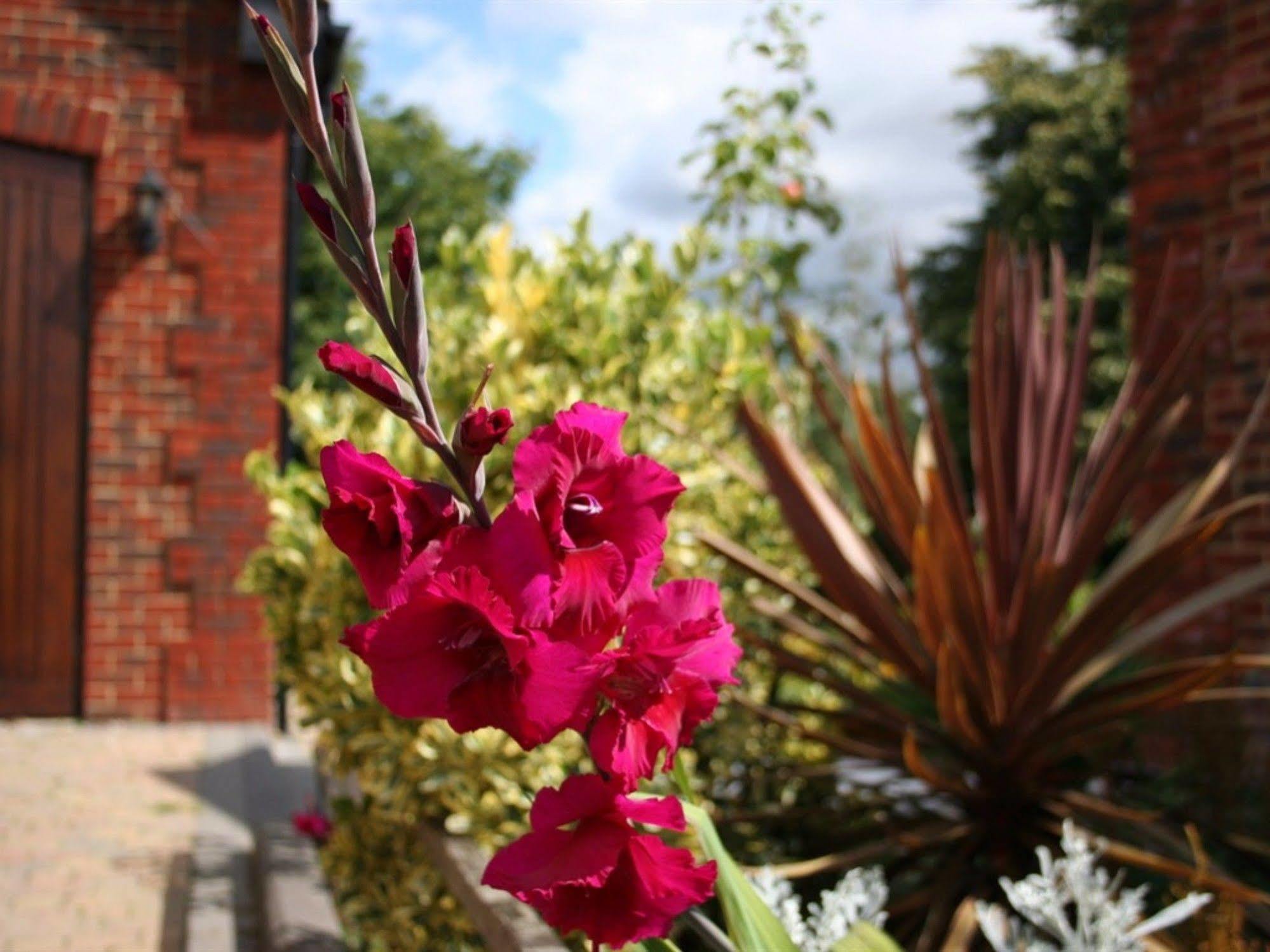 Millers House Boutique B&B เอมส์เวิร์ธ ภายนอก รูปภาพ